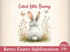 Cutest Little Bunny Floral Bunny Clipart Bundle 2