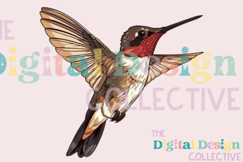 Hummingbird Clipart Bundle - CraftNest - Digital Crafting and Art