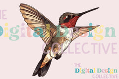 Vibrant Hummingbird Clipart Bundle - CraftNest - Digital Crafting and Art