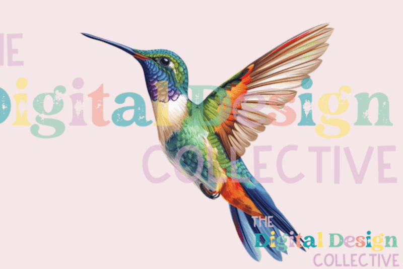 Hummingbird Clipart Bundle - CraftNest - Digital Crafting and Art