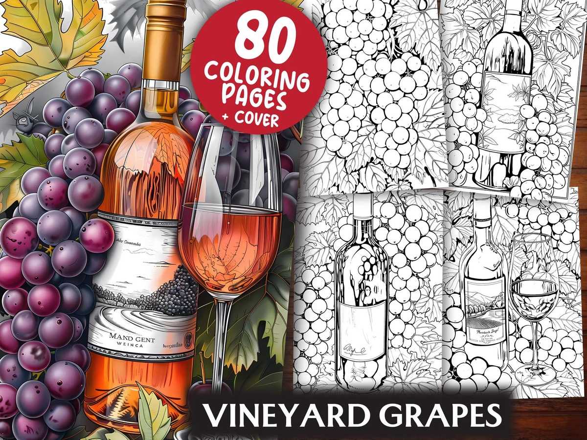 Vineyard Grapes Coloring Books - CraftNest - Digital Crafting and Art