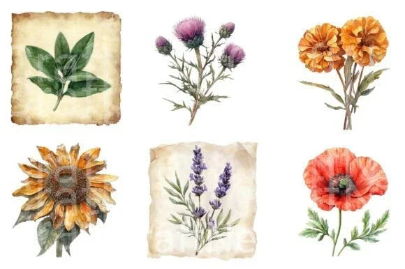 Vintage Botanical Paper Clipart Bundle - CraftNest - Digital Crafting and Art