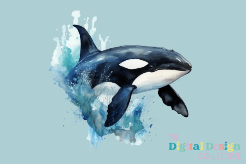 Vintage Orca Clipart Bundle 1973 - CraftNest - Digital Crafting and Art