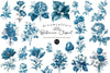 Vintage Botanica Clipart Bundle Set