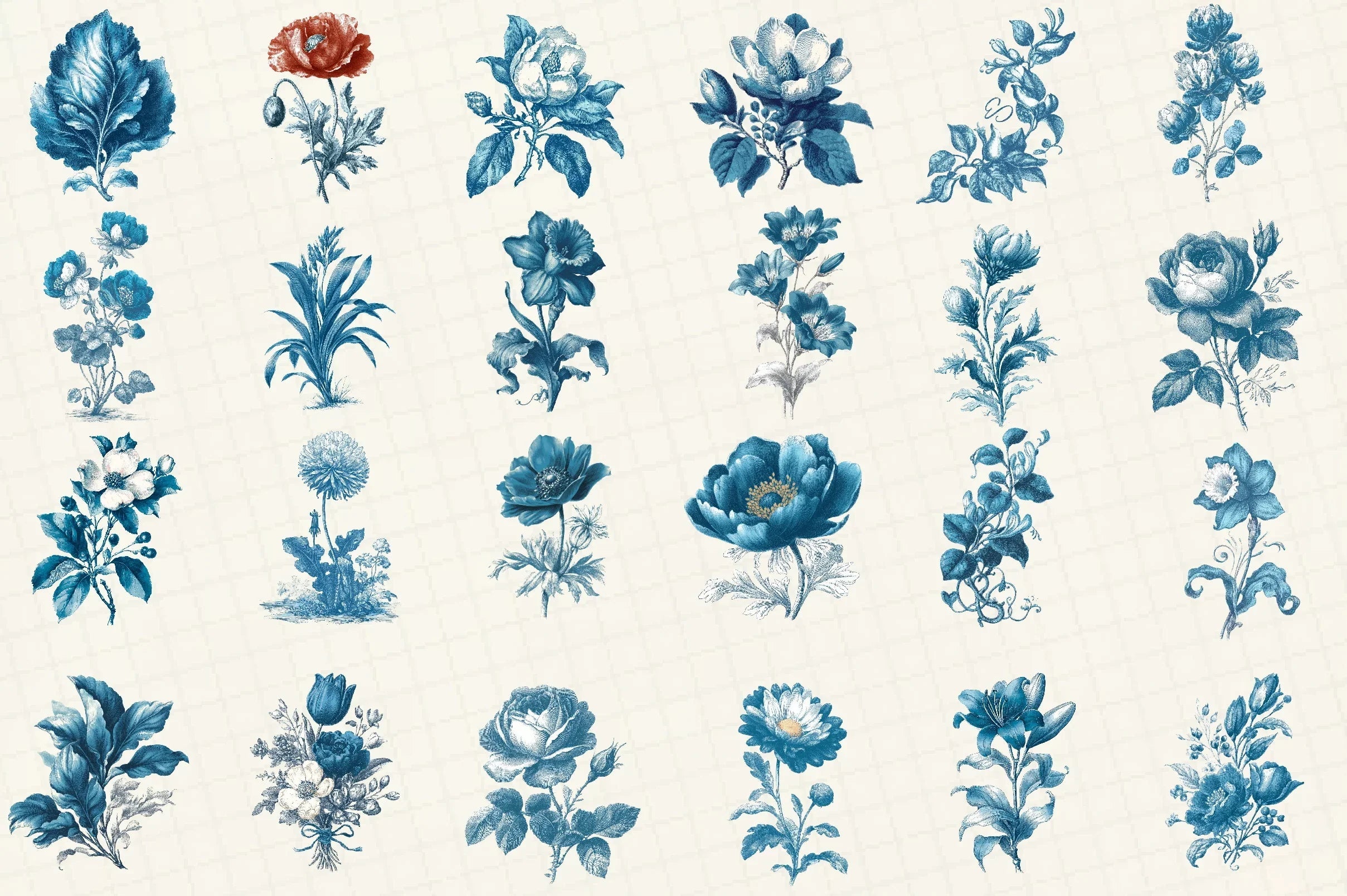 Vintage Botanica Clipart Bundle Set - CraftNest - Digital Crafting and Art