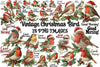 Vintage Christmas Bird Clipart Bundle