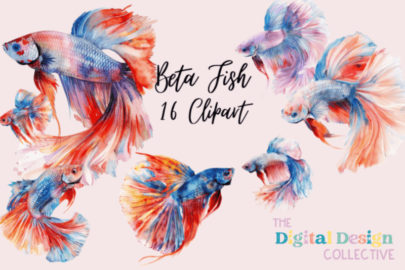Vibrant Betta Fish Clipart Bundle - CraftNest - Digital Crafting and Art