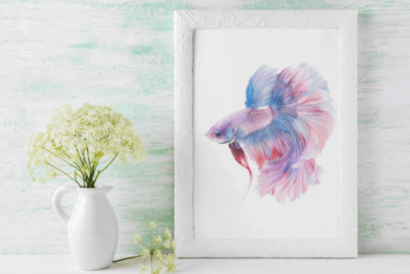 Vibrant Betta Fish Clipart Bundle - CraftNest - Digital Crafting and Art