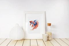 Vibrant Betta Fish Clipart Bundle - CraftNest - Digital Crafting and Art