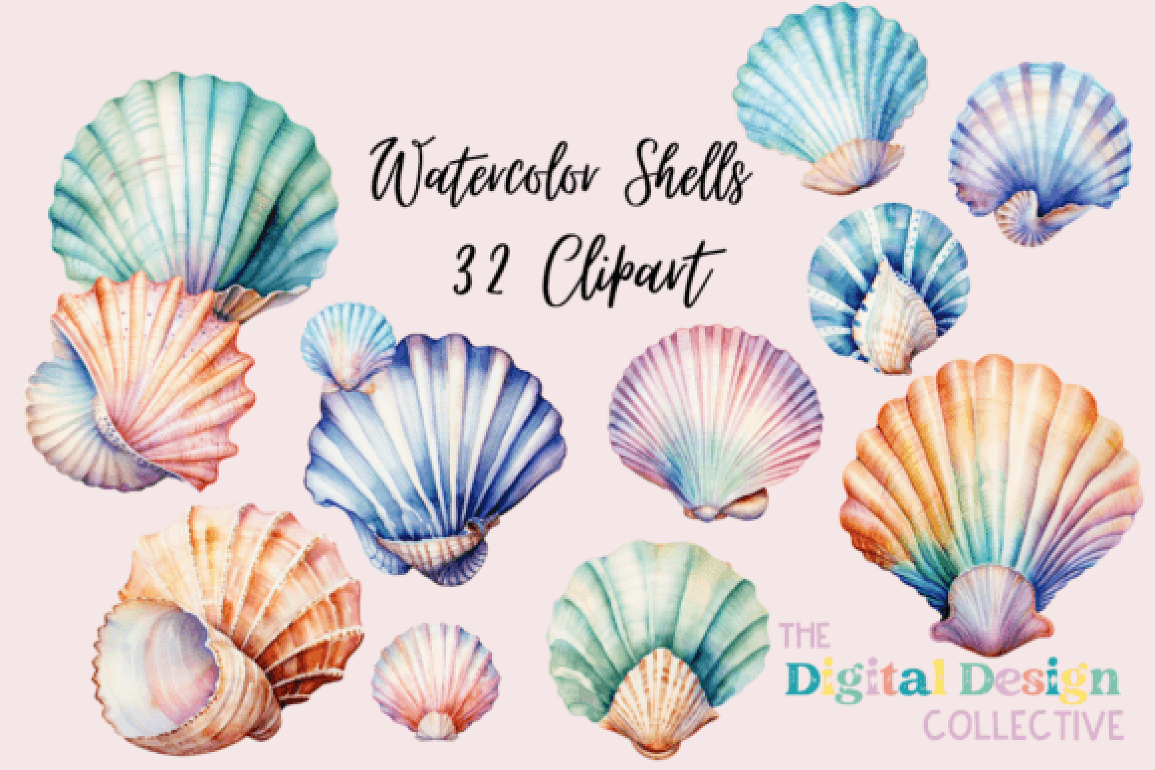 Colorful Seashells Clipart Bundle - CraftNest - Digital Crafting and Art