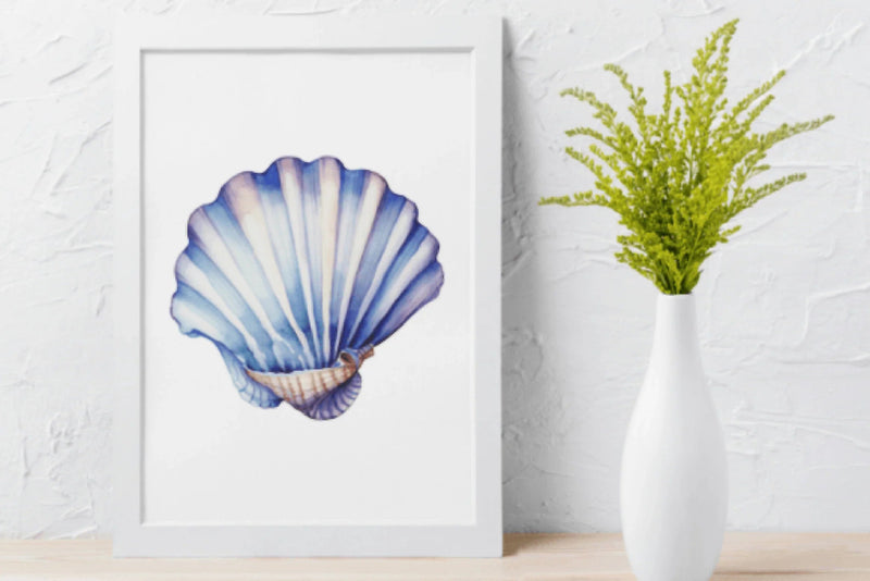 Colorful Seashells Clipart Bundle - CraftNest - Digital Crafting and Art