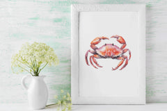 Crab Clipart Bundle 2041 - CraftNest - Digital Crafting and Art