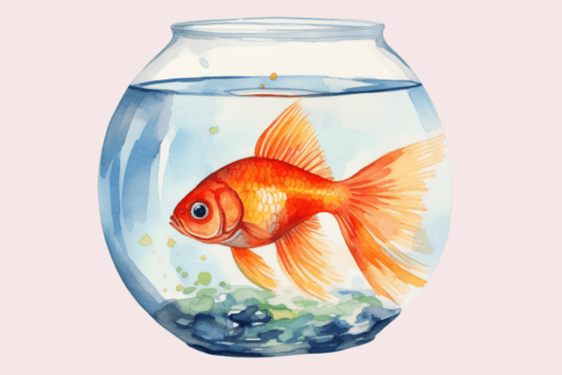 Fish Bowl Clipart Bundle - CraftNest - Digital Crafting and Art