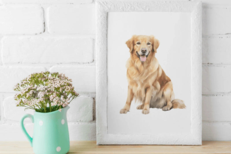 Golden Retriever Clipart Bundle - CraftNest - Digital Crafting and Art