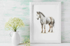 Horses Clipart Bundle - CraftNest - Digital Crafting and Art