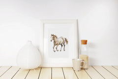 Horses Clipart Bundle - CraftNest - Digital Crafting and Art