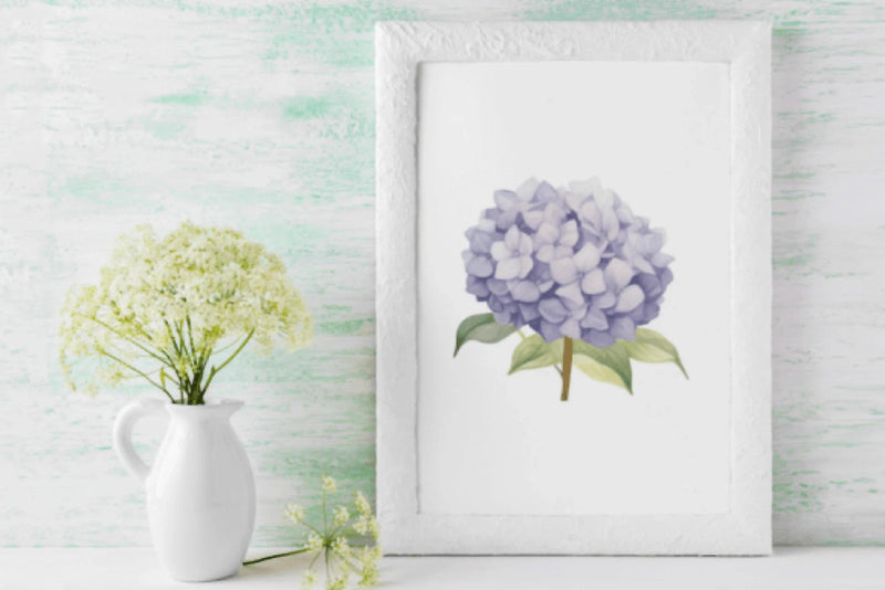 Stunning Hydrangea Floral Clipart Bundle - CraftNest - Digital Crafting and Art