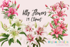 Lilly Flower Clipart Bundle