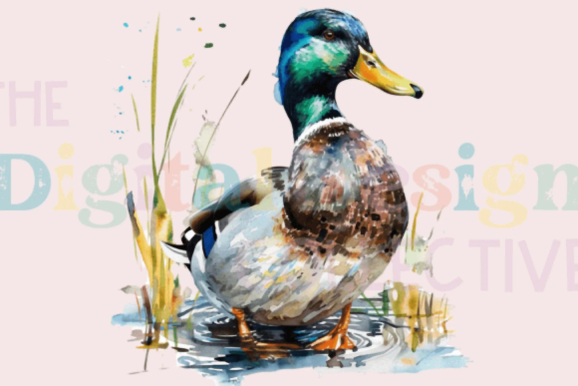 Ultimate Mallard Duck Hunting Guide Clipart Bundle - CraftNest - Digital Crafting and Art