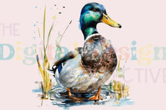 Ultimate Mallard Duck Hunting Guide Clipart Bundle - CraftNest - Digital Crafting and Art
