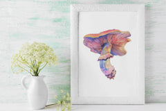 Mushroom Clipart Bundle - CraftNest - Digital Crafting and Art