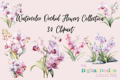 Stunning Orchid Flowers Clipart Bundle - CraftNest - Digital Crafting and Art