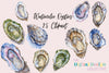 Oyster Clipart Bundle
