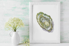 Oyster Clipart Bundle - CraftNest - Digital Crafting and Art
