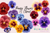 Vibrant Pansy Art Clipart Bundle