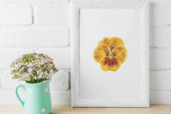 Vibrant Pansy Art Clipart Bundle - CraftNest - Digital Crafting and Art