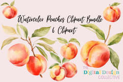 Peach Clipart Bundle - CraftNest - Digital Crafting and Art