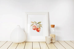 Peach Clipart Bundle - CraftNest - Digital Crafting and Art