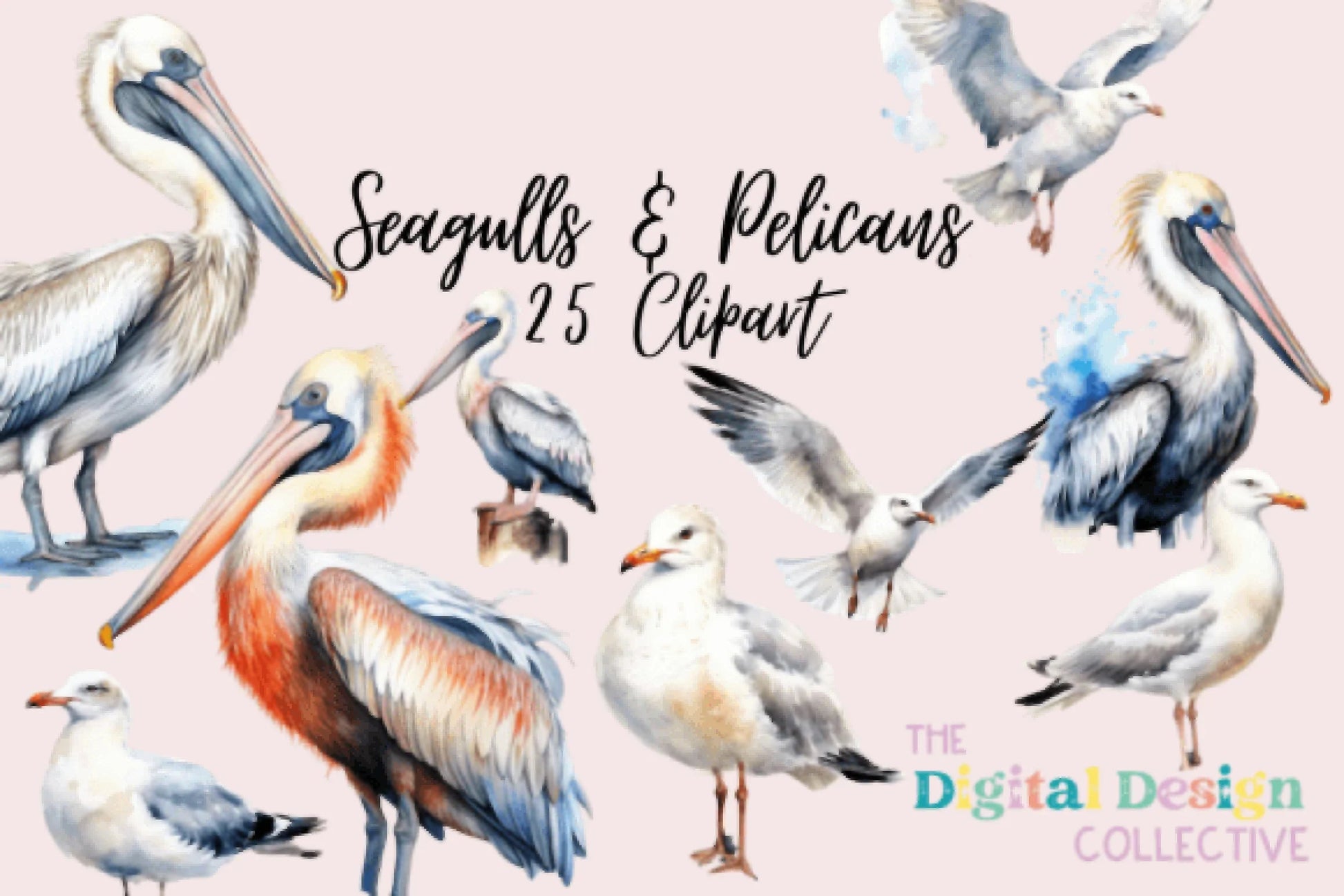 Pelican and Seagull Clipart Bundle - CraftNest - Digital Crafting and Art