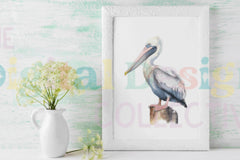 Pelican and Seagull Clipart Bundle - CraftNest - Digital Crafting and Art