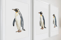 Adorable Penguin Clipart Bundle - CraftNest - Digital Crafting and Art