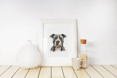 Charming Pitbull Dog Clipart Bundle - CraftNest - Digital Crafting and Art