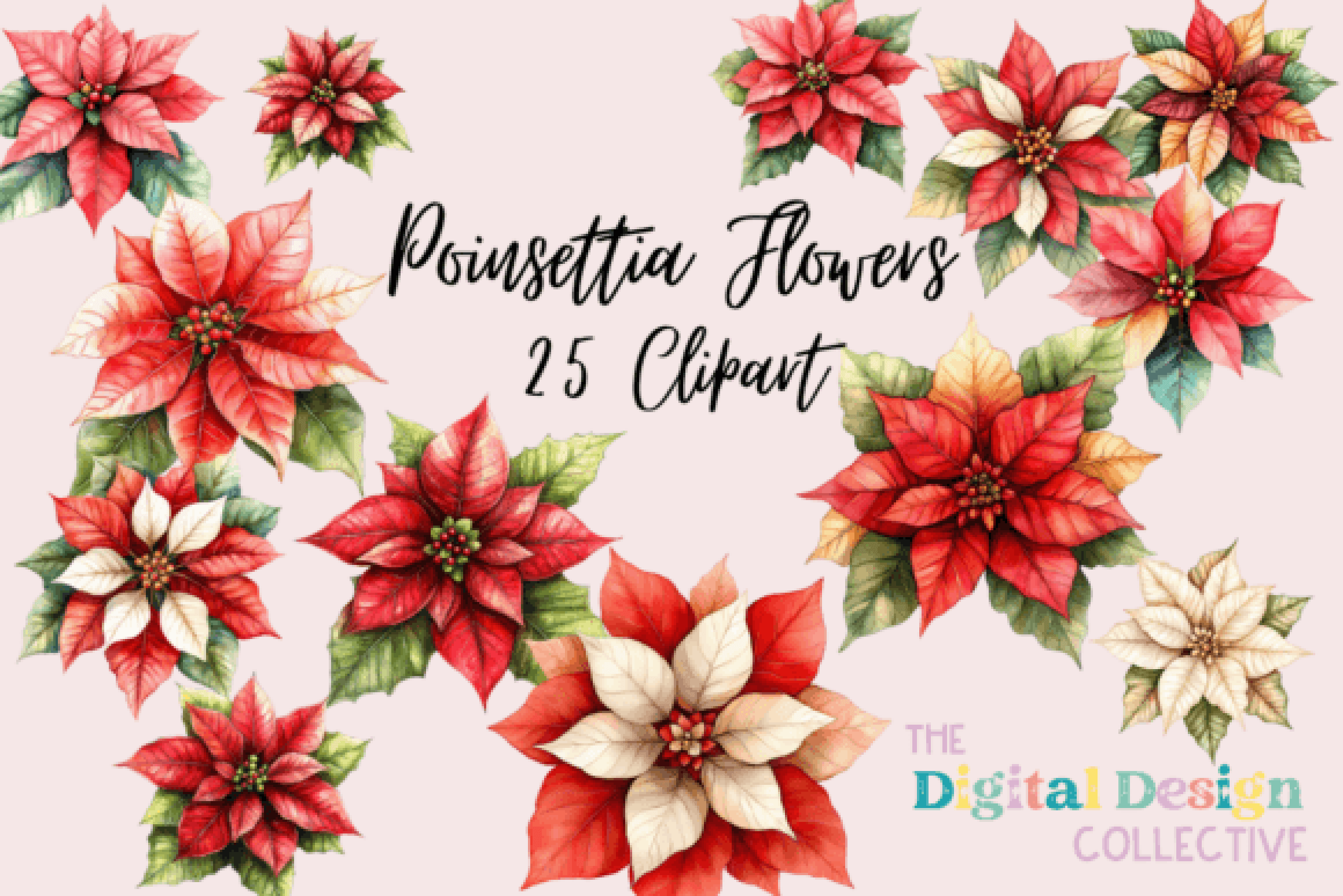 Poinsettia Clipart Bundle - CraftNest - Digital Crafting and Art