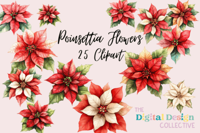 Poinsettia Clipart Bundle - CraftNest - Digital Crafting and Art