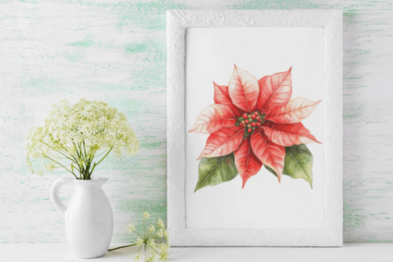 Poinsettia Clipart Bundle - CraftNest - Digital Crafting and Art
