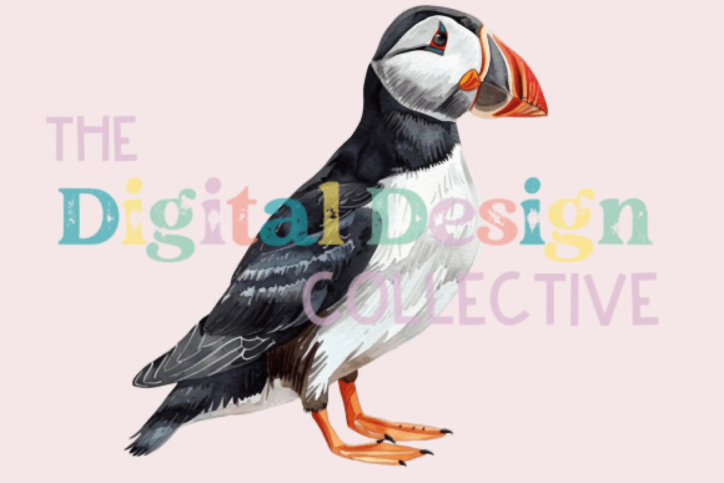 Puffin PNG Clipart Bundle - CraftNest - Digital Crafting and Art