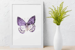 Purple Butterfly Clipart Bundle - CraftNest - Digital Crafting and Art
