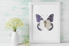 Purple Butterfly Clipart Bundle - CraftNest - Digital Crafting and Art