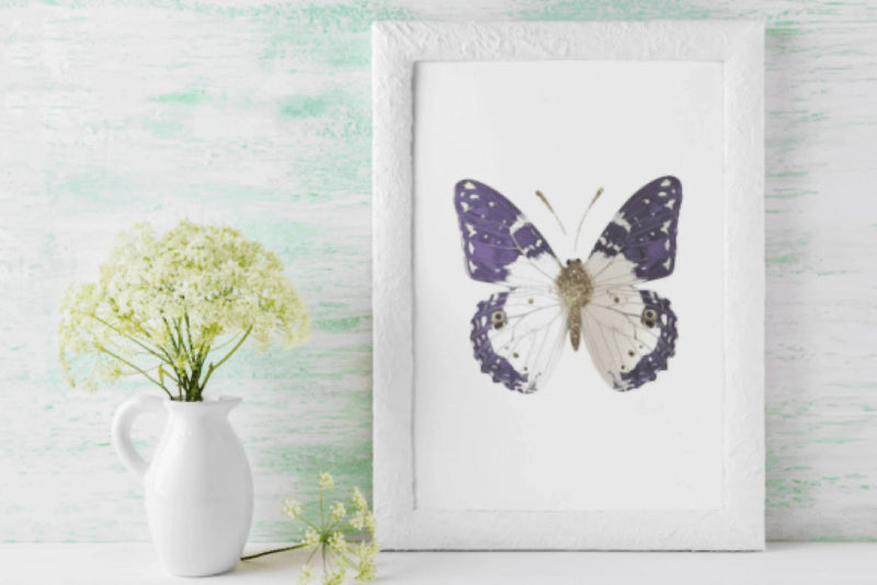 Purple Butterfly Clipart Bundle - CraftNest - Digital Crafting and Art