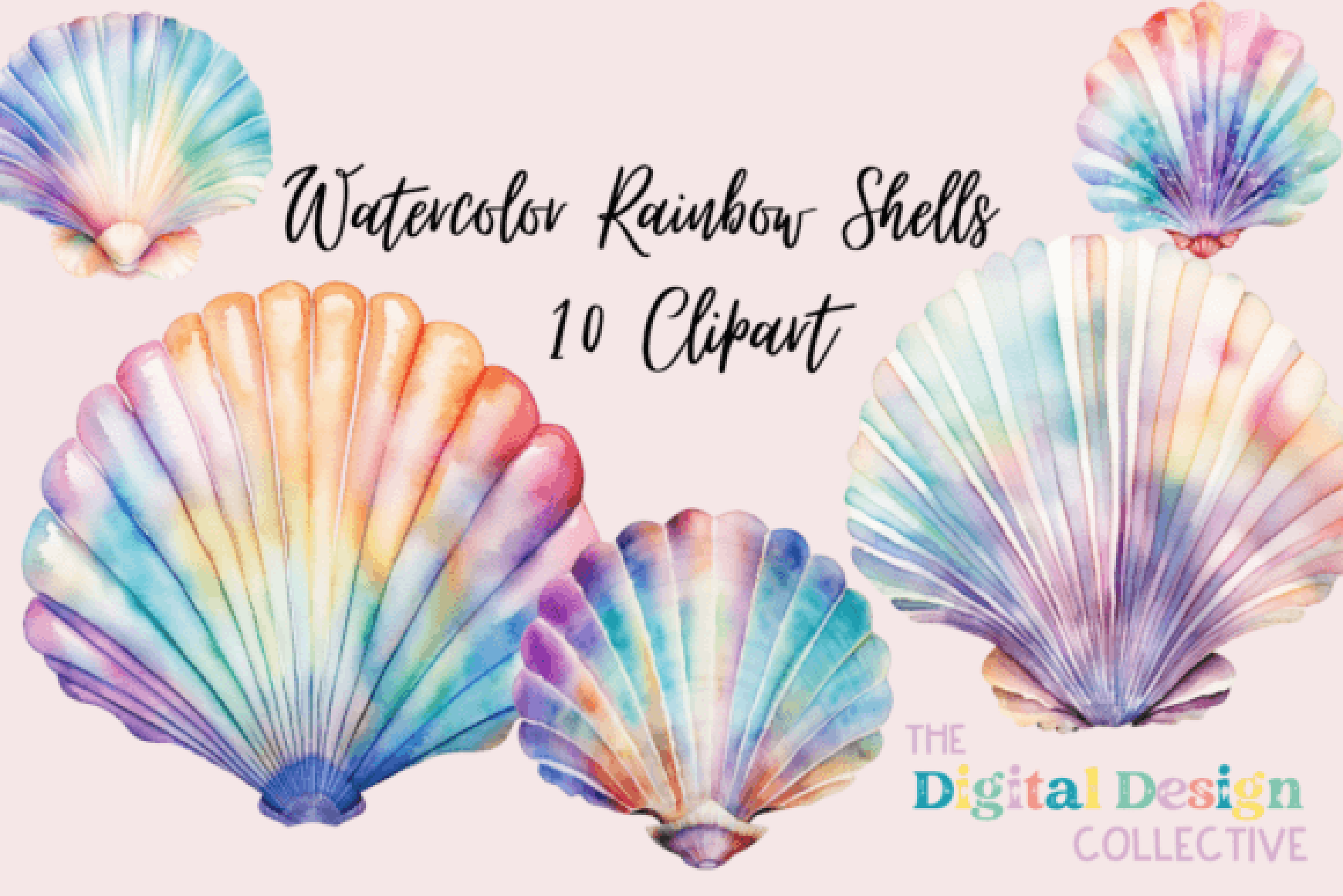 Rainbow Seashell Clipart Bundle