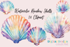 Rainbow Seashell Clipart Bundle