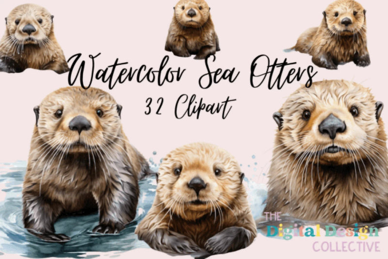 Sea Otter Clipart Bundle - CraftNest - Digital Crafting and Art