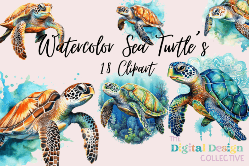 Sea Turtle Clipart Bundle - CraftNest - Digital Crafting and Art