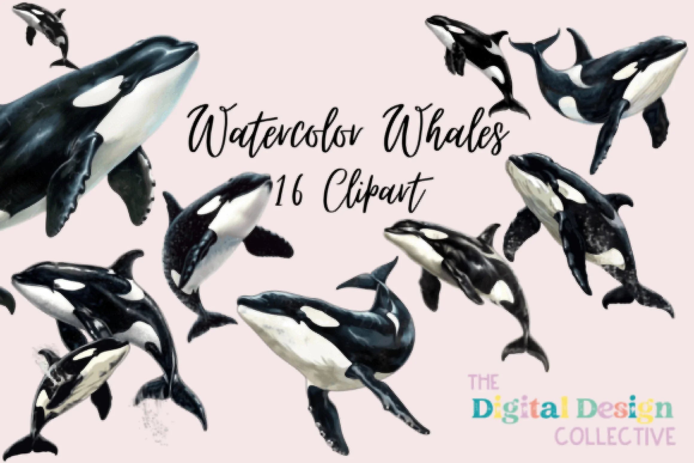 Stunning Whale Clipart Bundle - CraftNest - Digital Crafting and Art