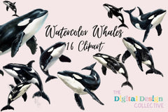 Stunning Whale Clipart Bundle - CraftNest - Digital Crafting and Art