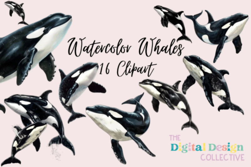 Stunning Whale Clipart Bundle - CraftNest - Digital Crafting and Art